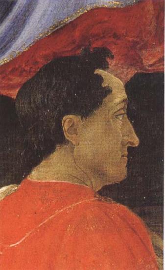 Sandro Botticelli Mago wearing a red mantle oil painting image